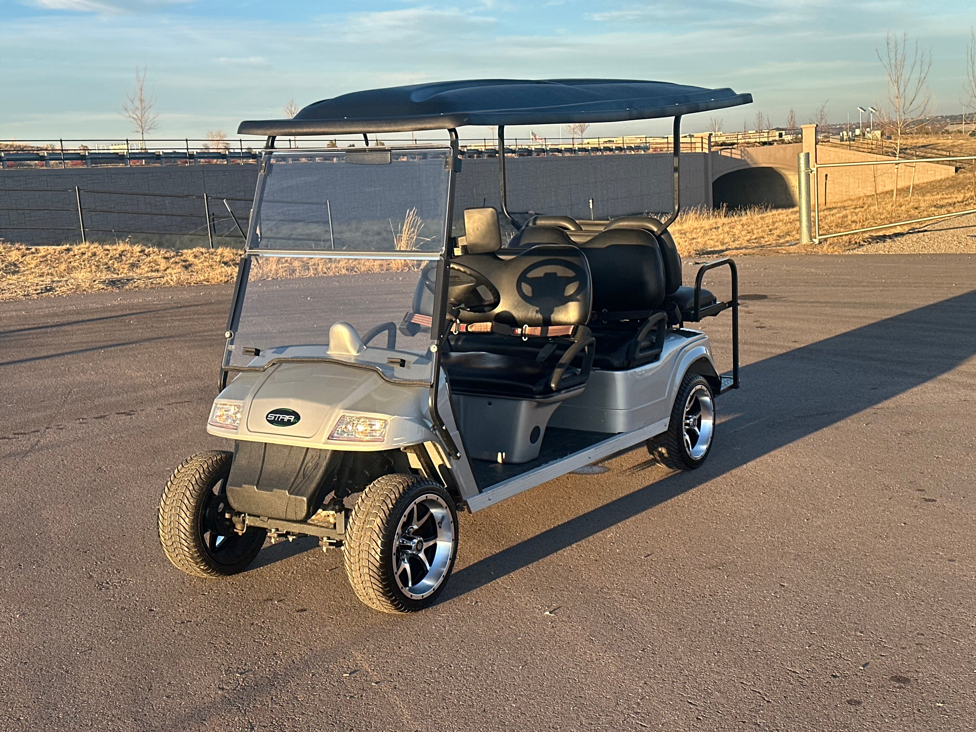 2017 Star Classic 4+2 Silver Lead-Acid 6 Passenger Electric