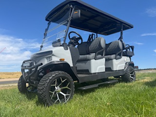 Denago EV  Rover XL6- White