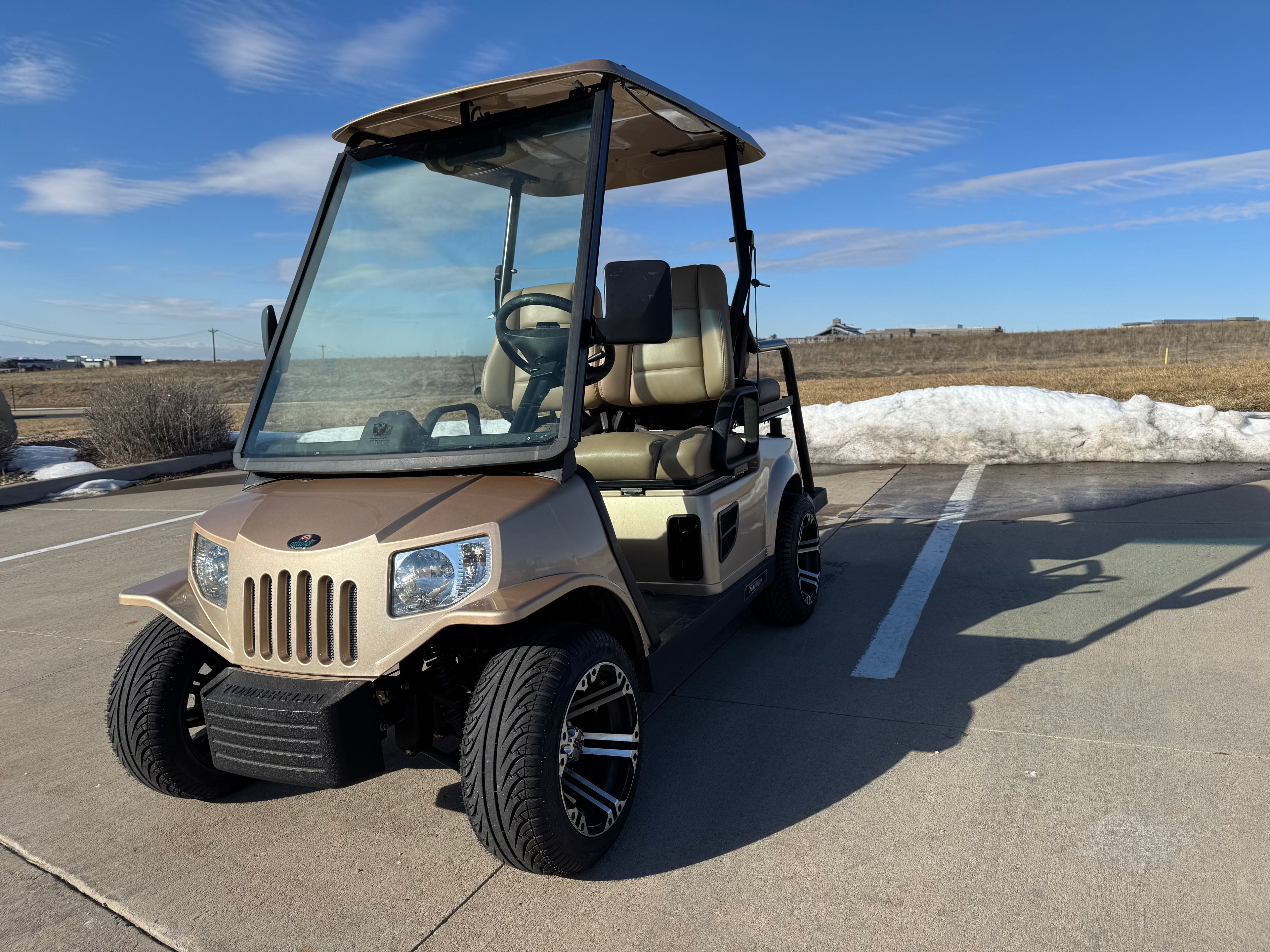 2010 Tomberlin lithium 4 Passenger Golf Cart